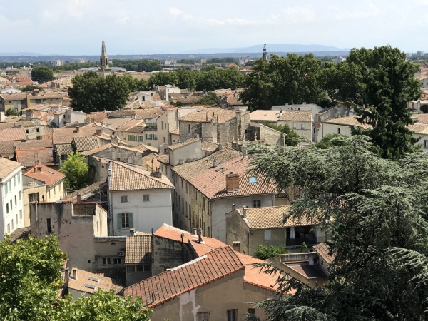 Avignon inspiruje stylem,  czyli spécialité de la maison…